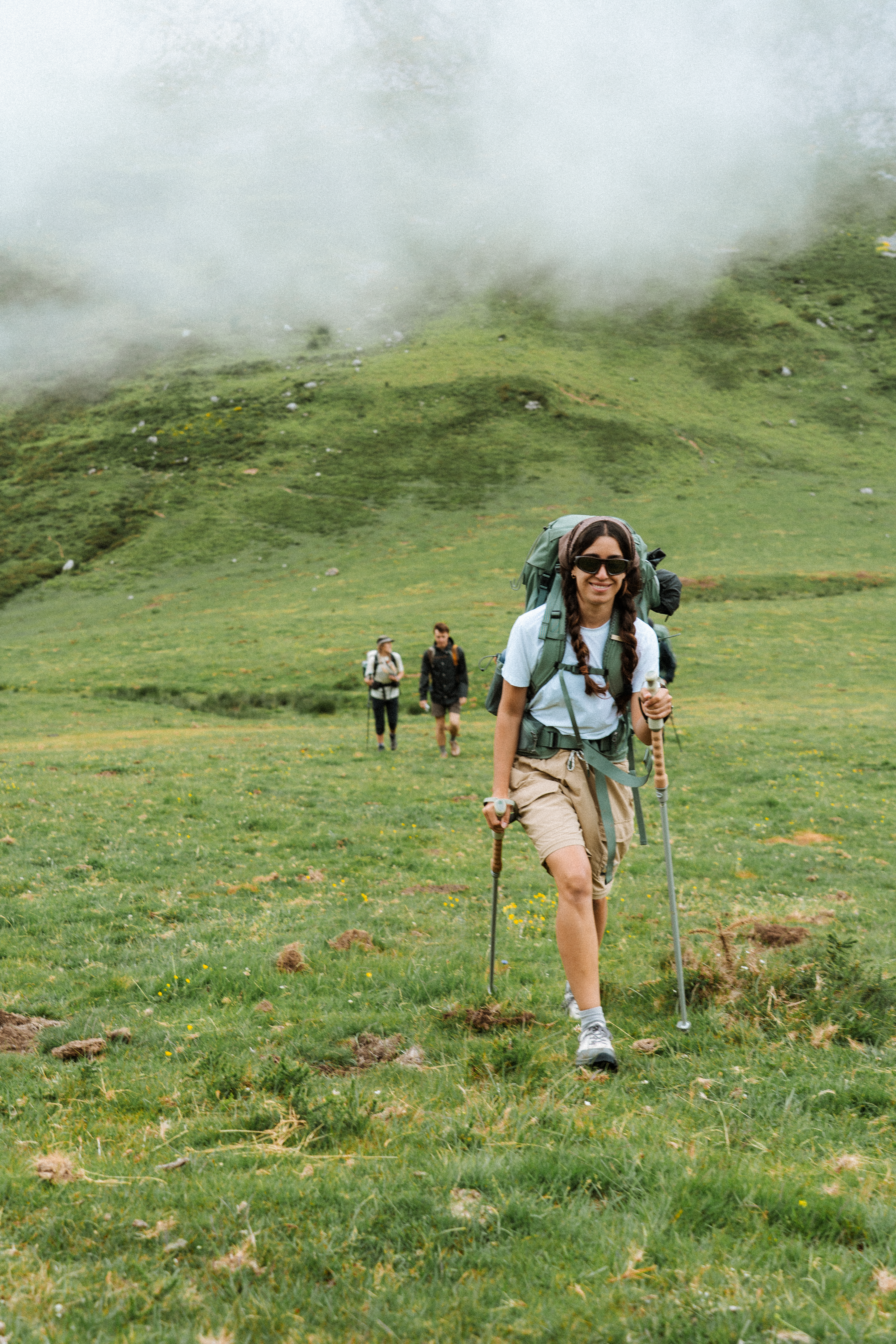 Image of a T3 Trekking Poles