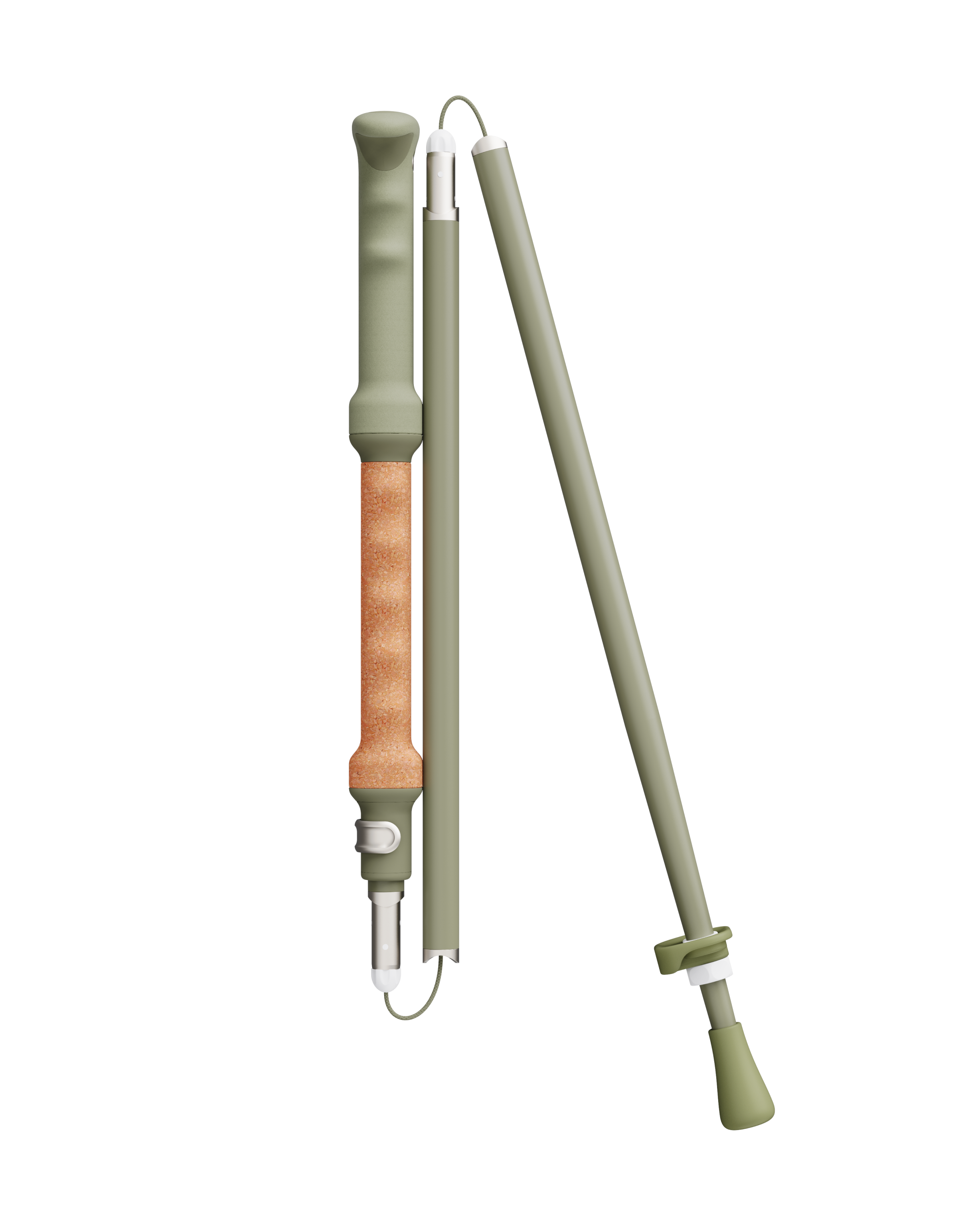 An image of fixed length ski poles