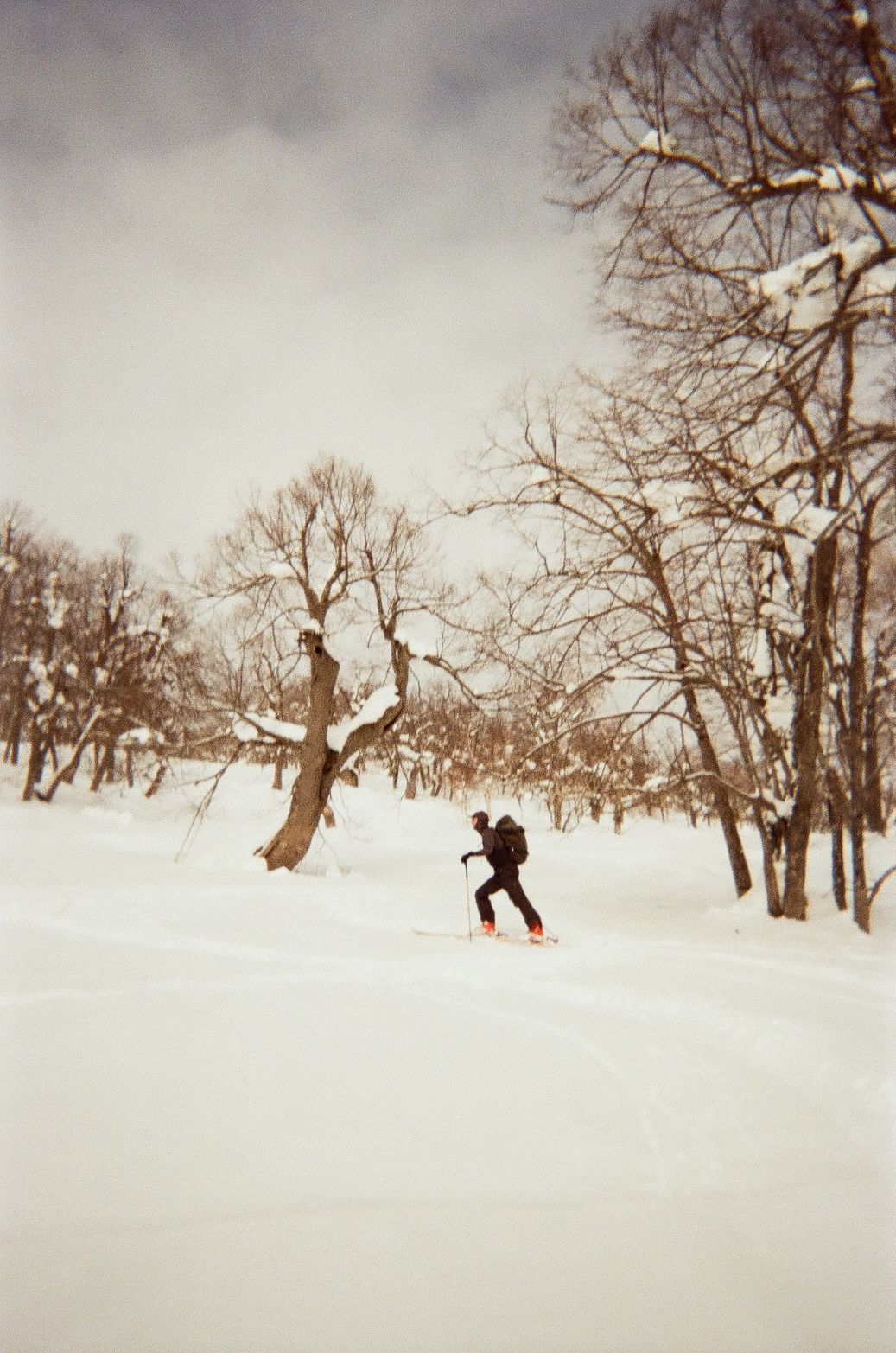 An image of skier in the backcountry