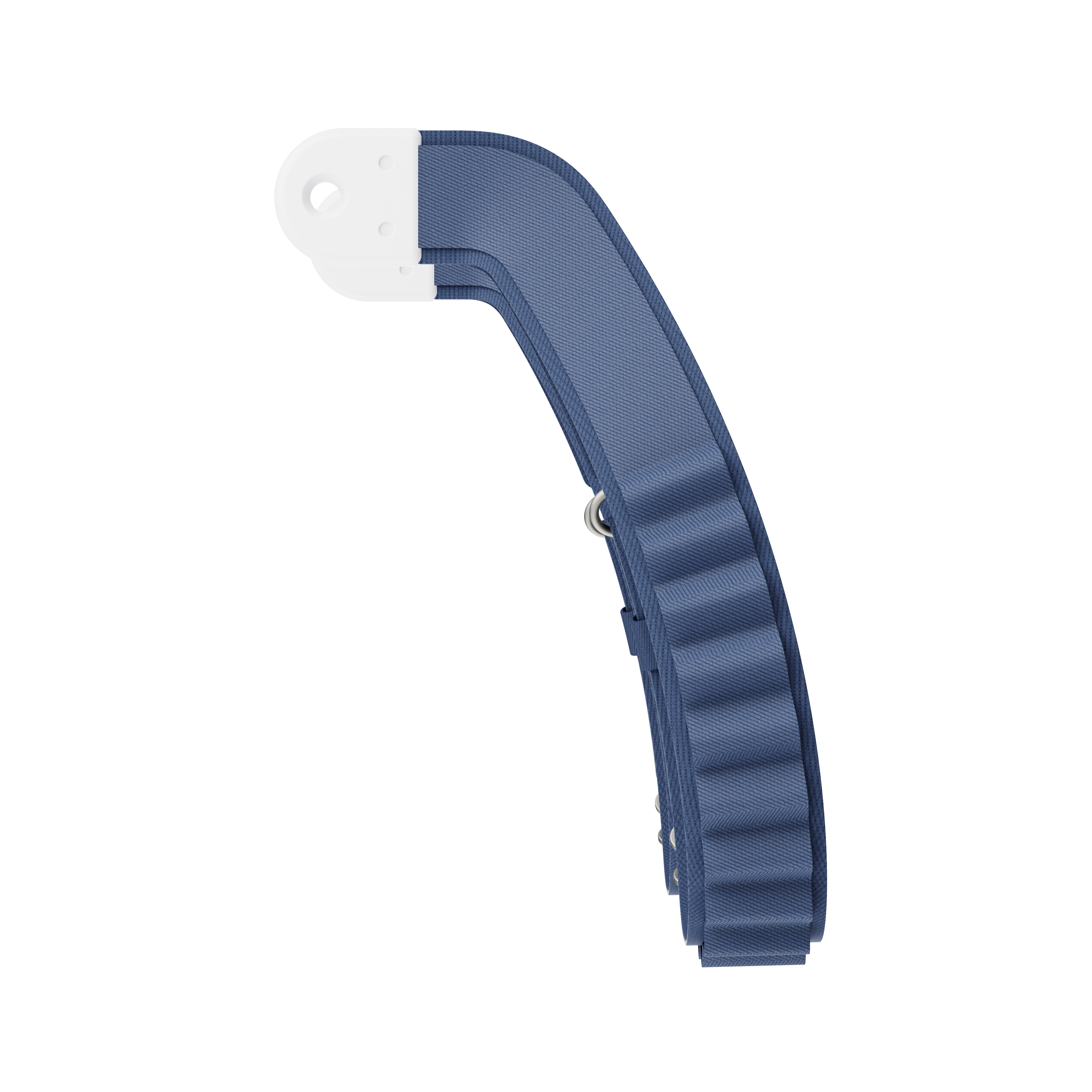 Bluebird resort straps