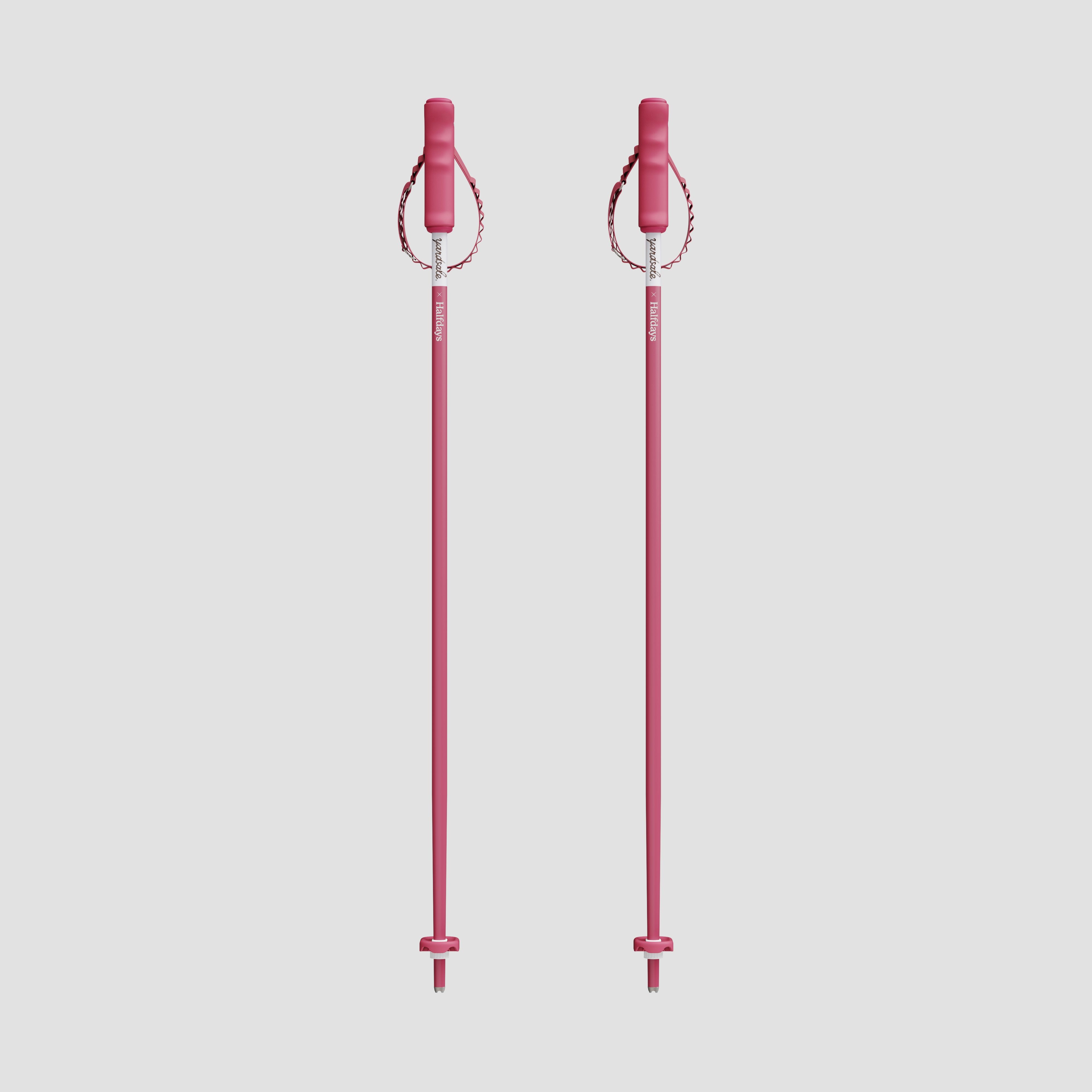 An image of yardsale x halfdays ski poles
