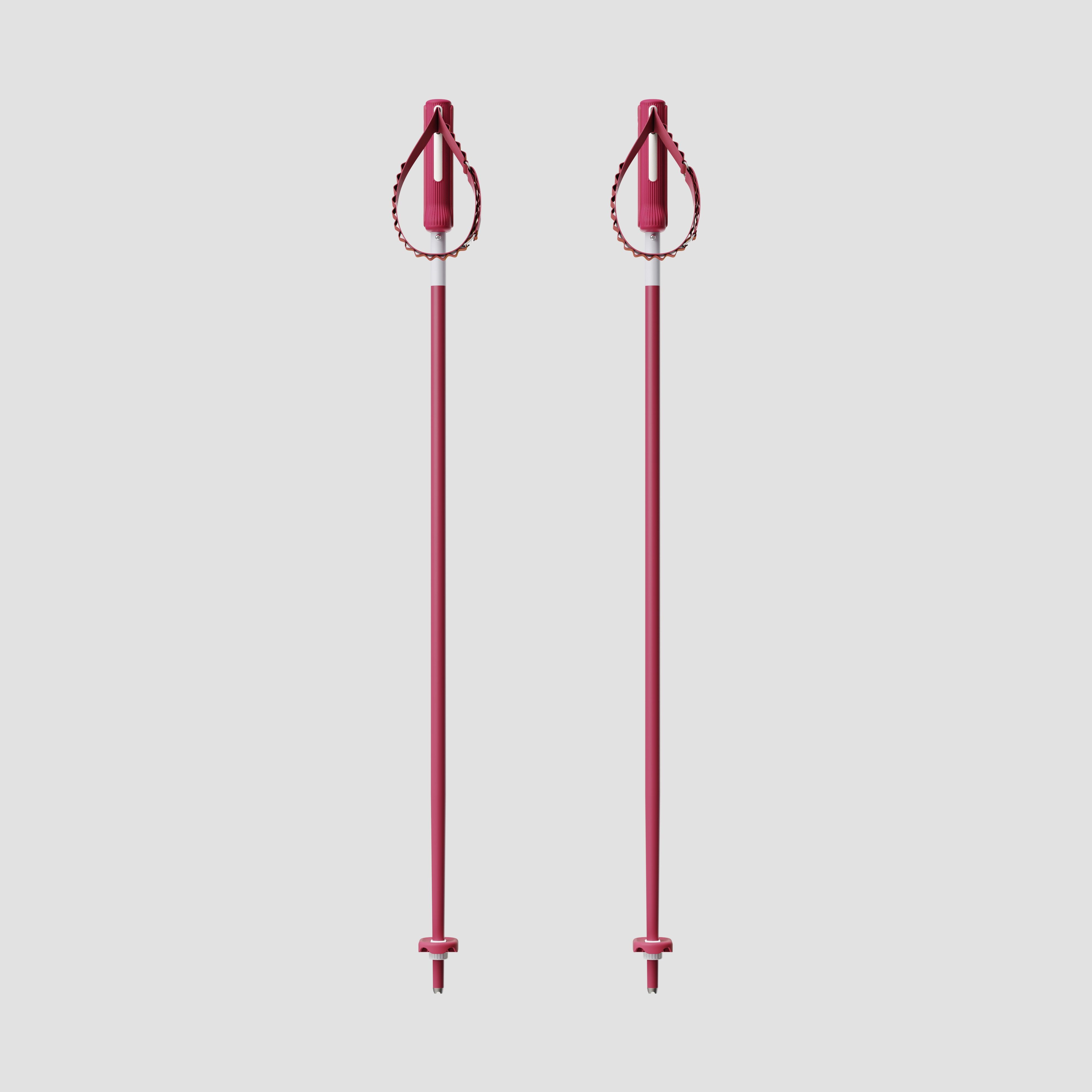 An image of yardsale x halfdays ski poles