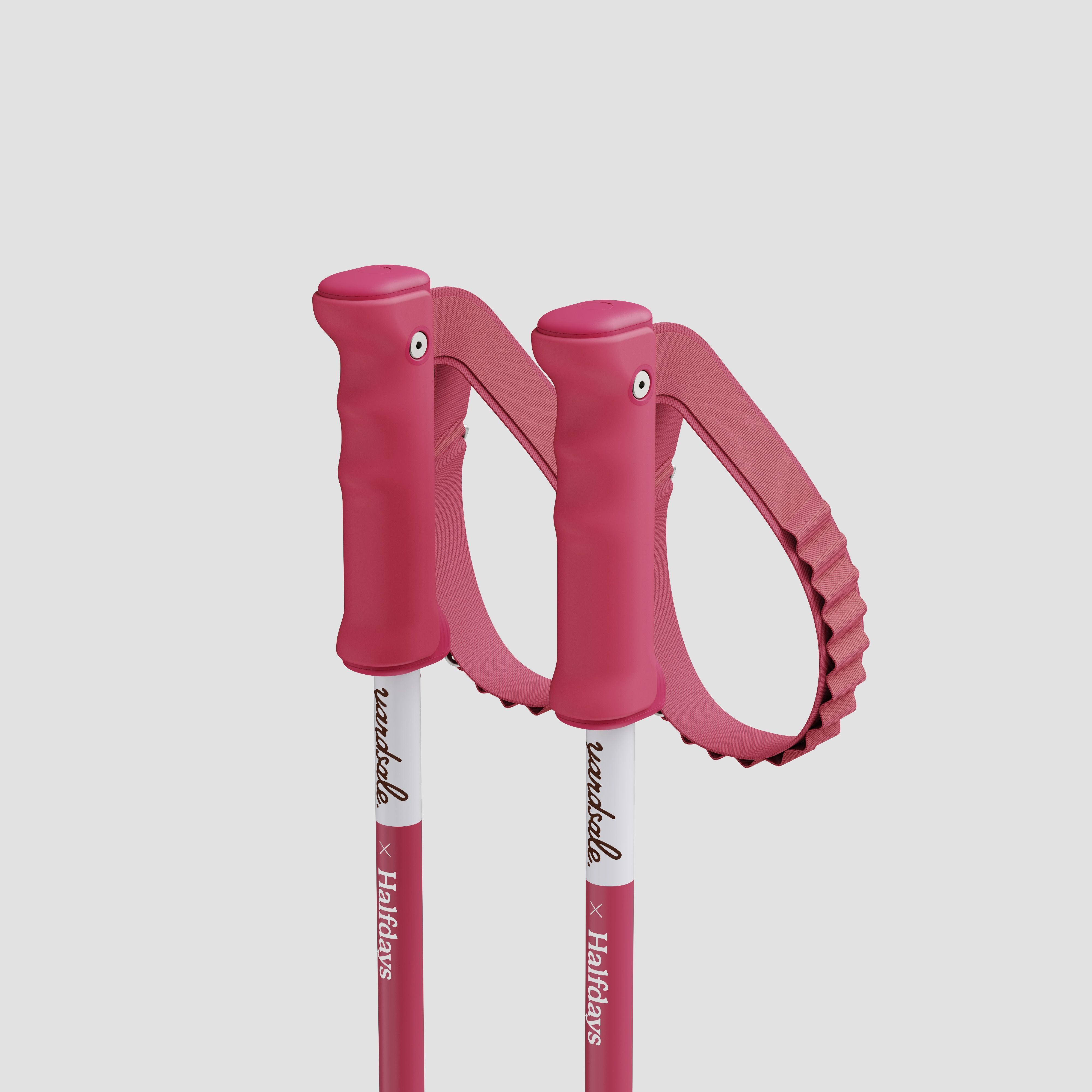 An image of yardsale x halfdays ski poles