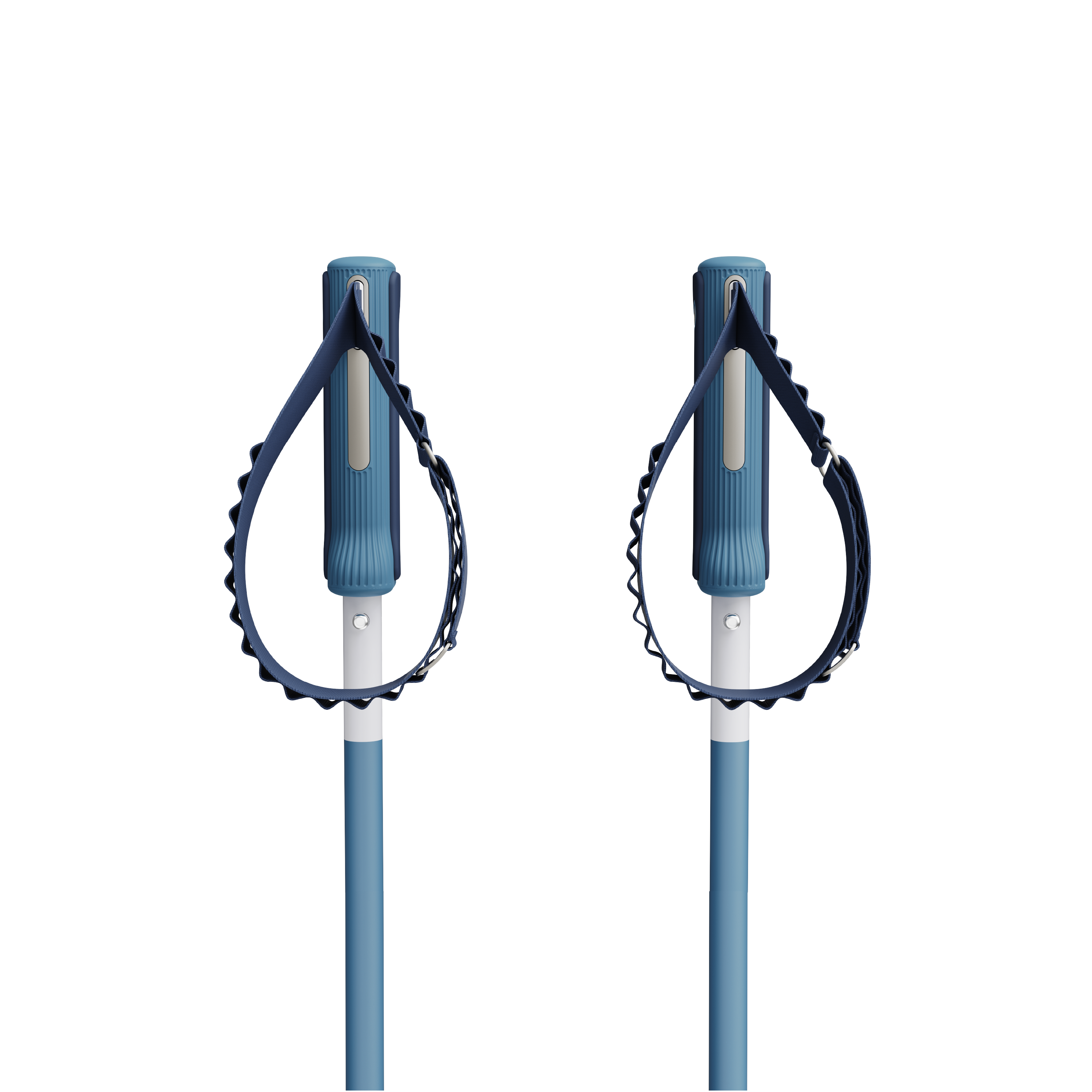 An image of P1 ski poles blue handles