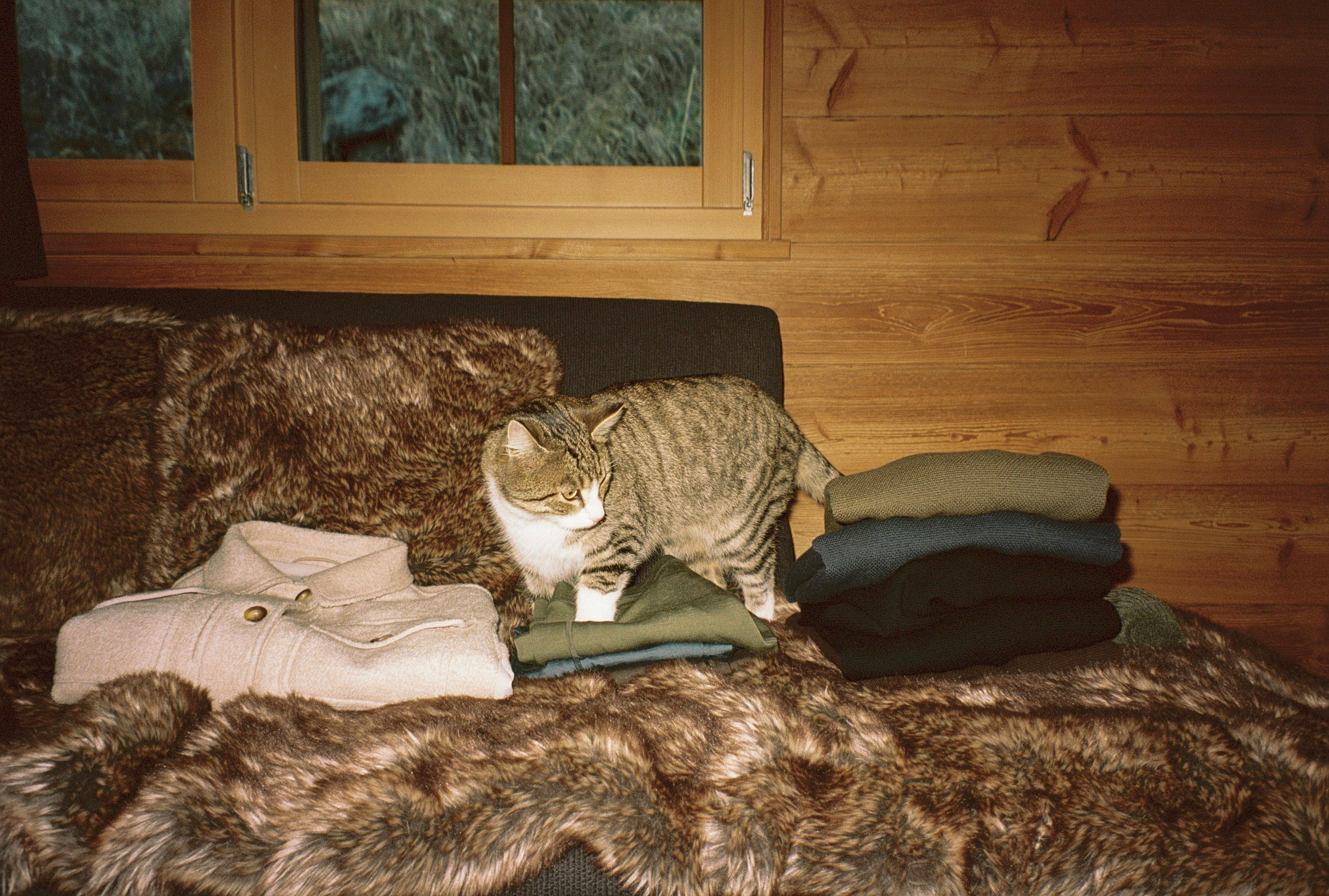 An image of a wool baselayer top