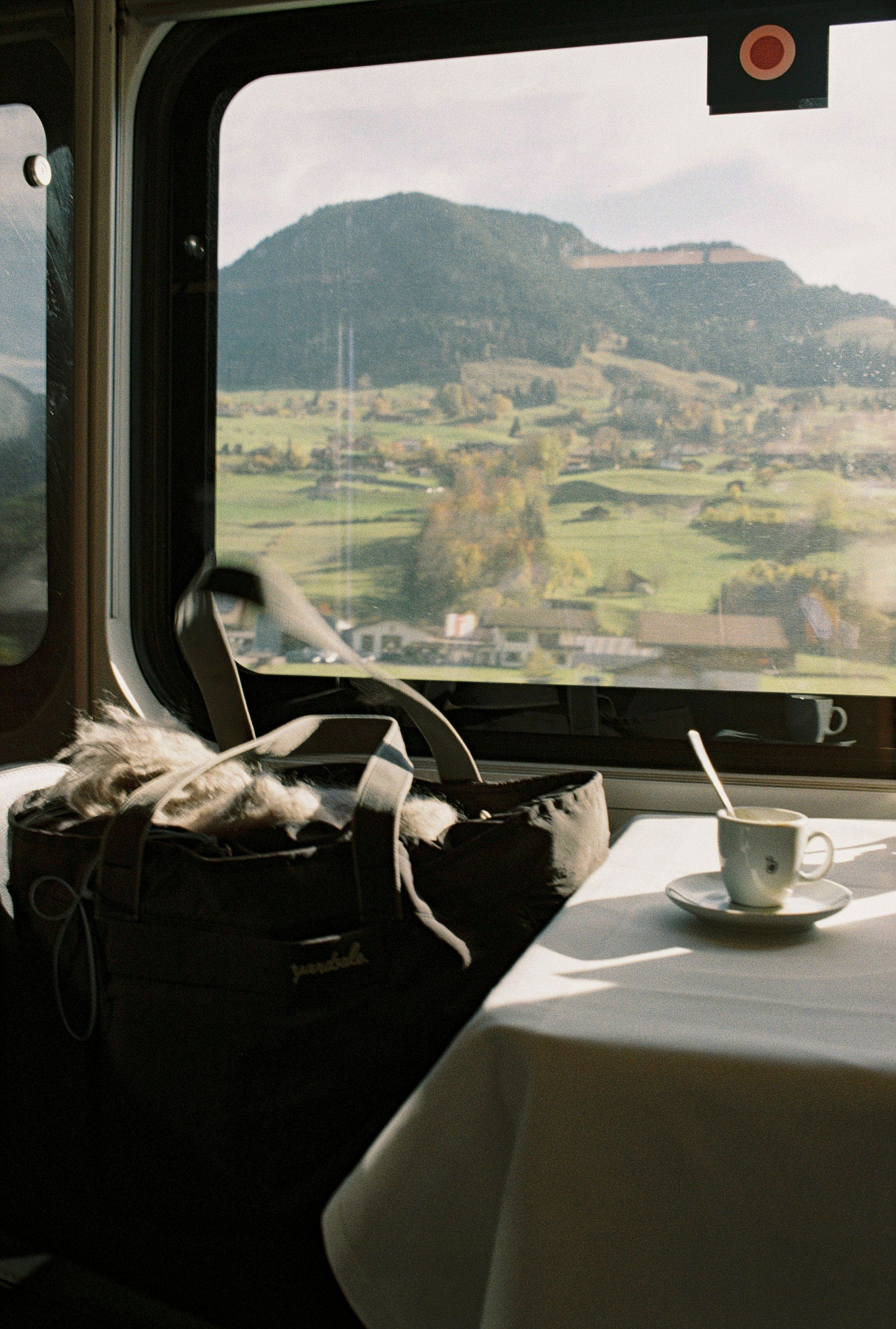 Image of a day bag on a train in Switzerland