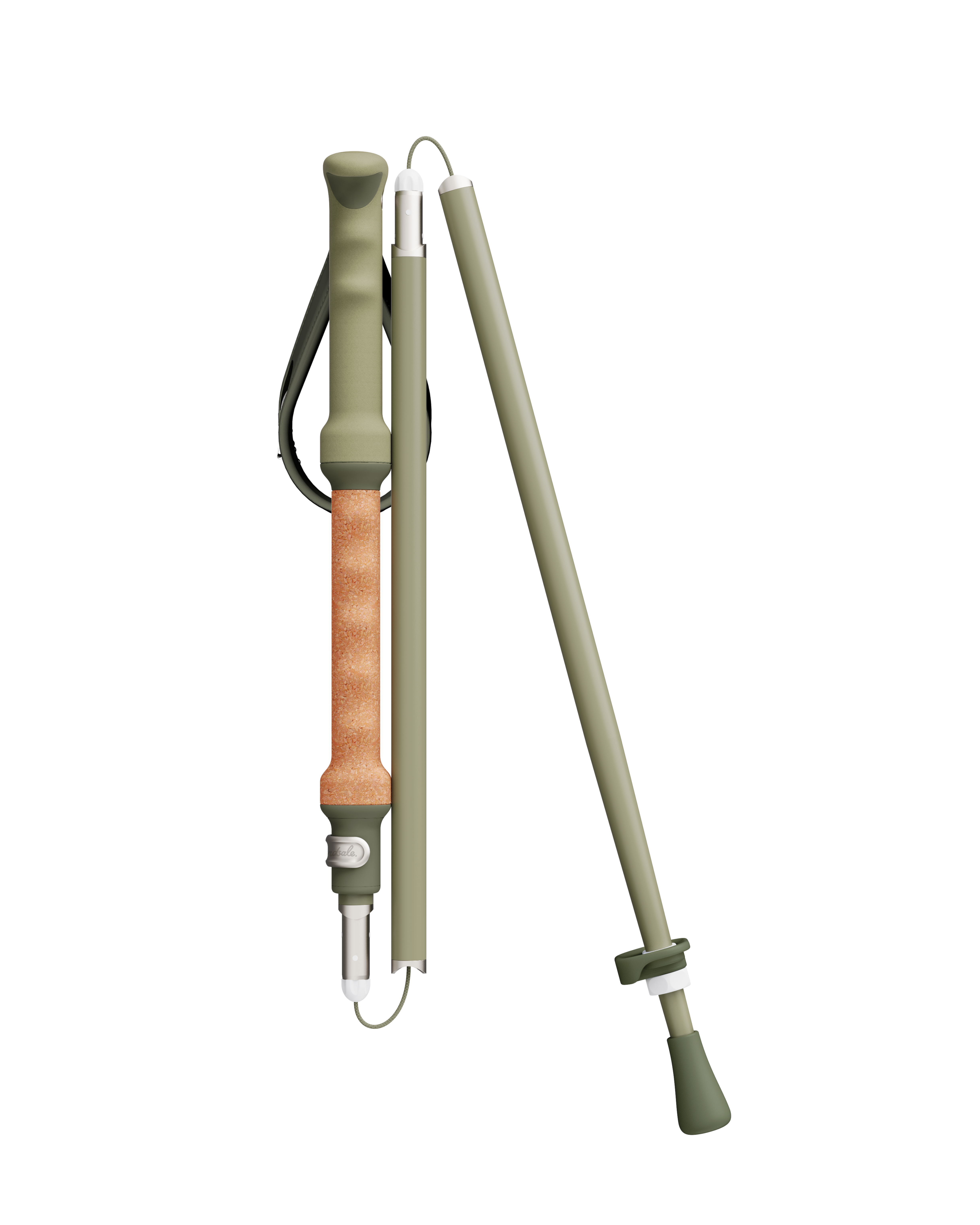 An image of fixed length ski poles