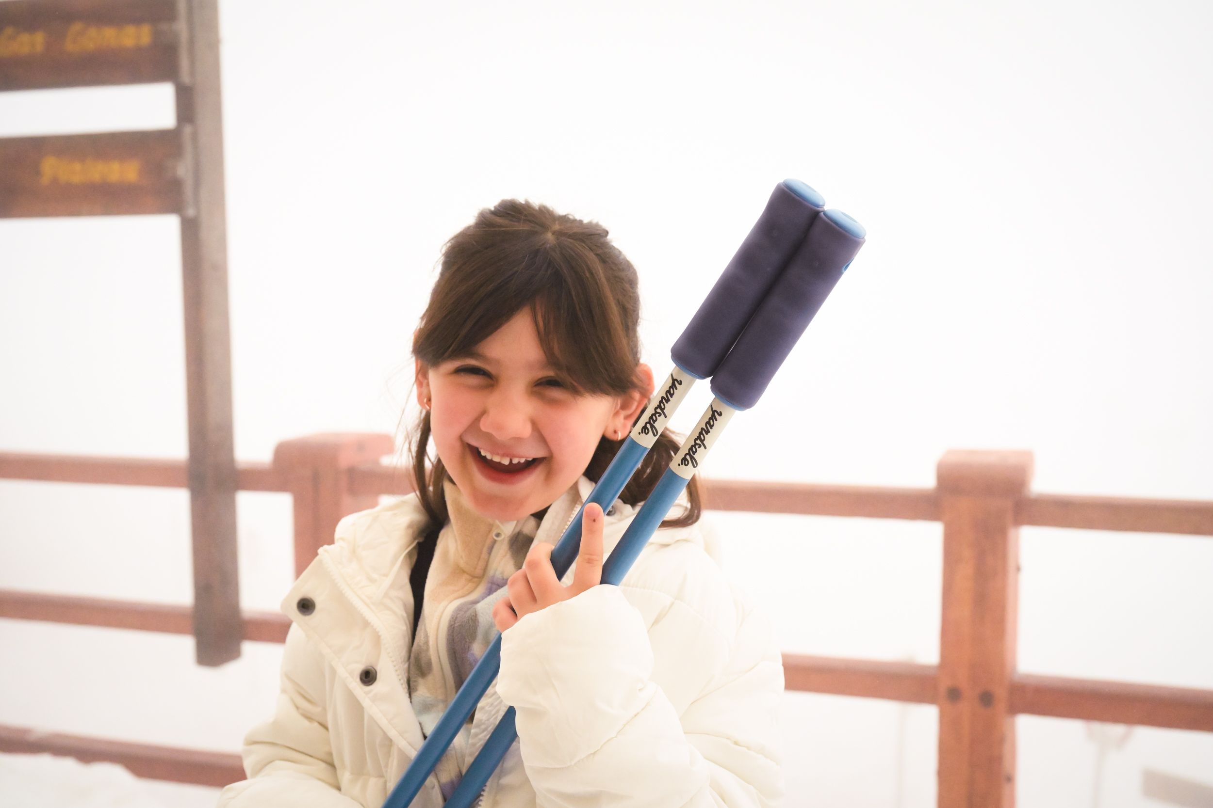 An image of a child holding ski poles