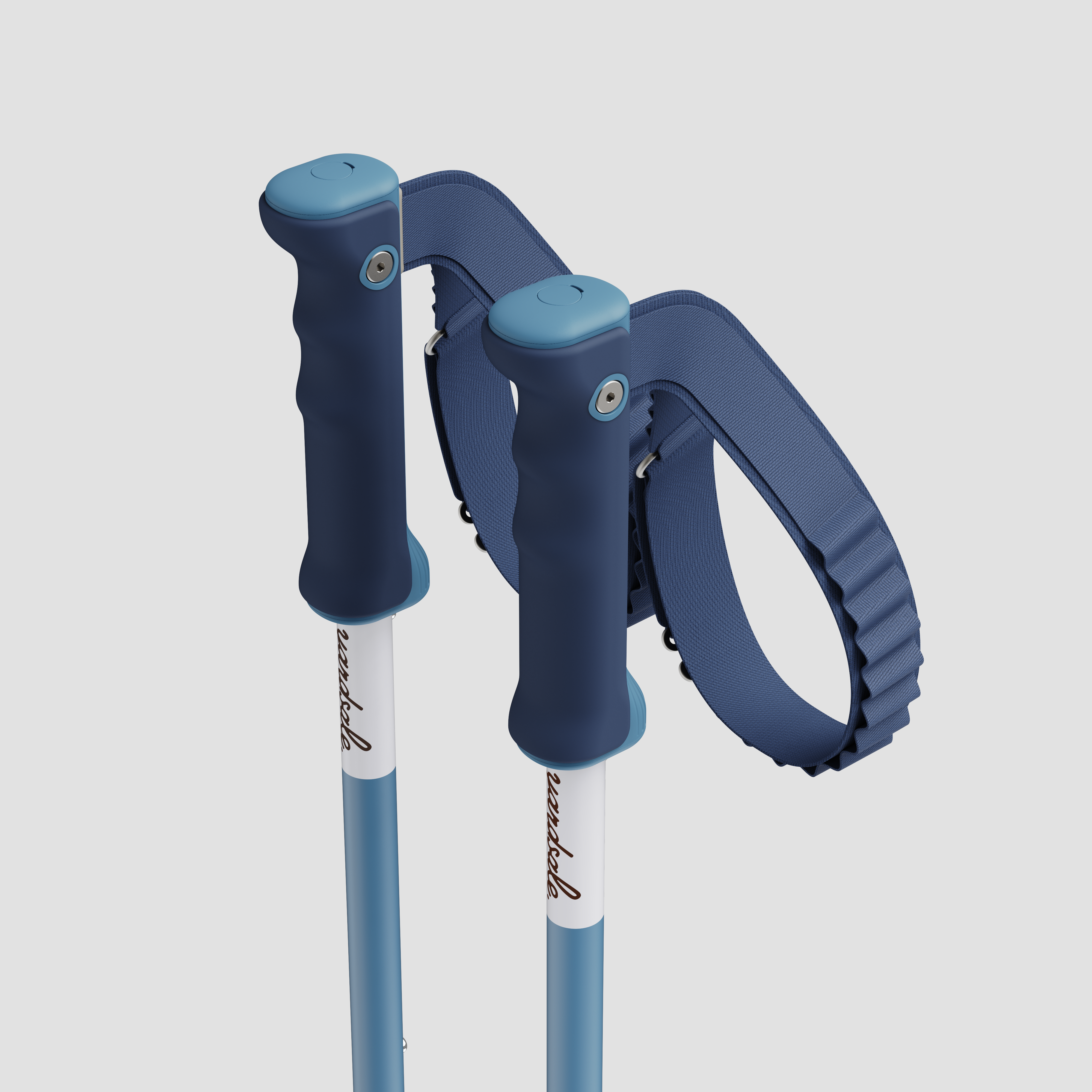An image of P1 mini ski poles blue handles