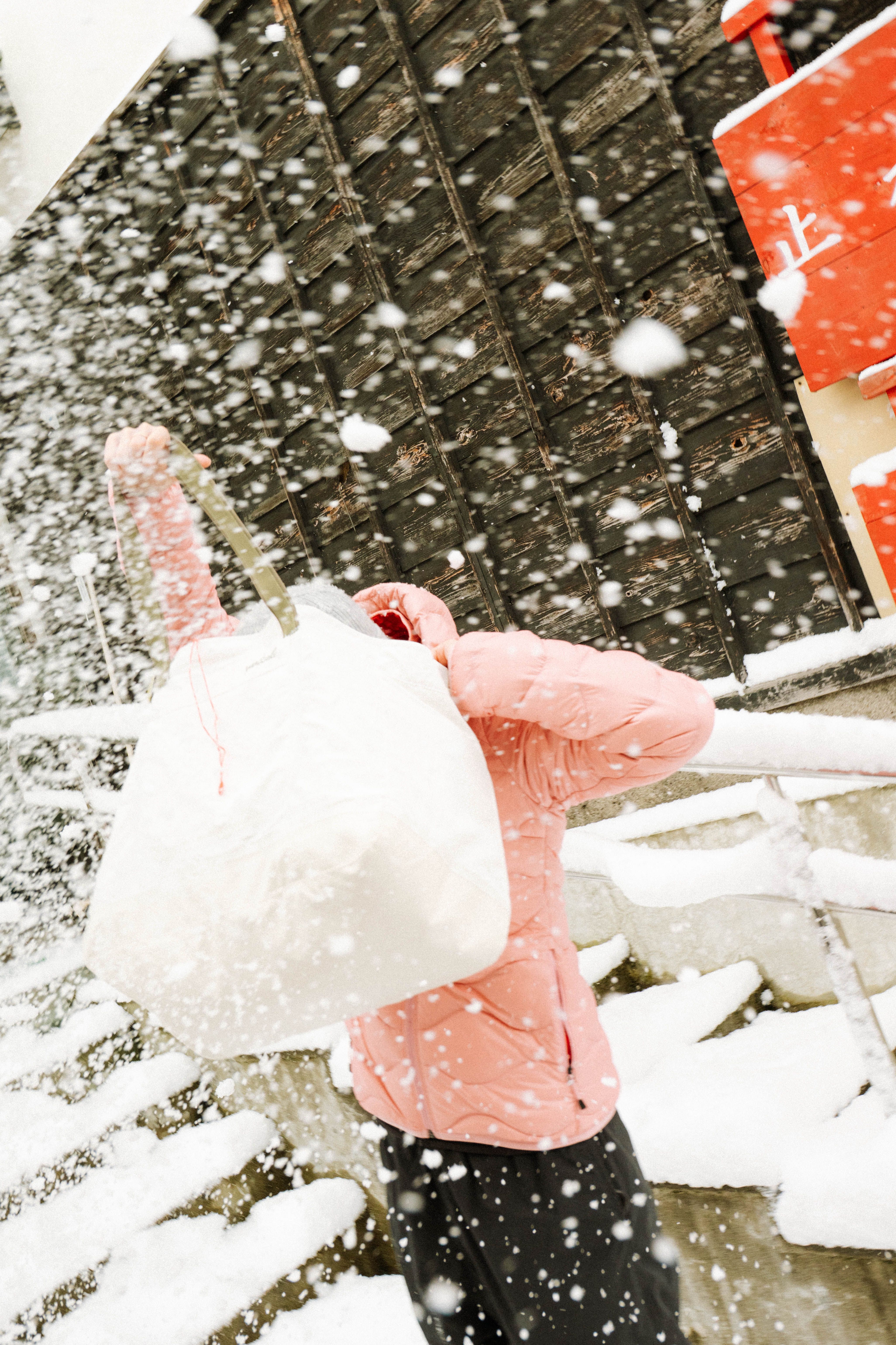 A photo of a 30L Day Bag with powder snow 