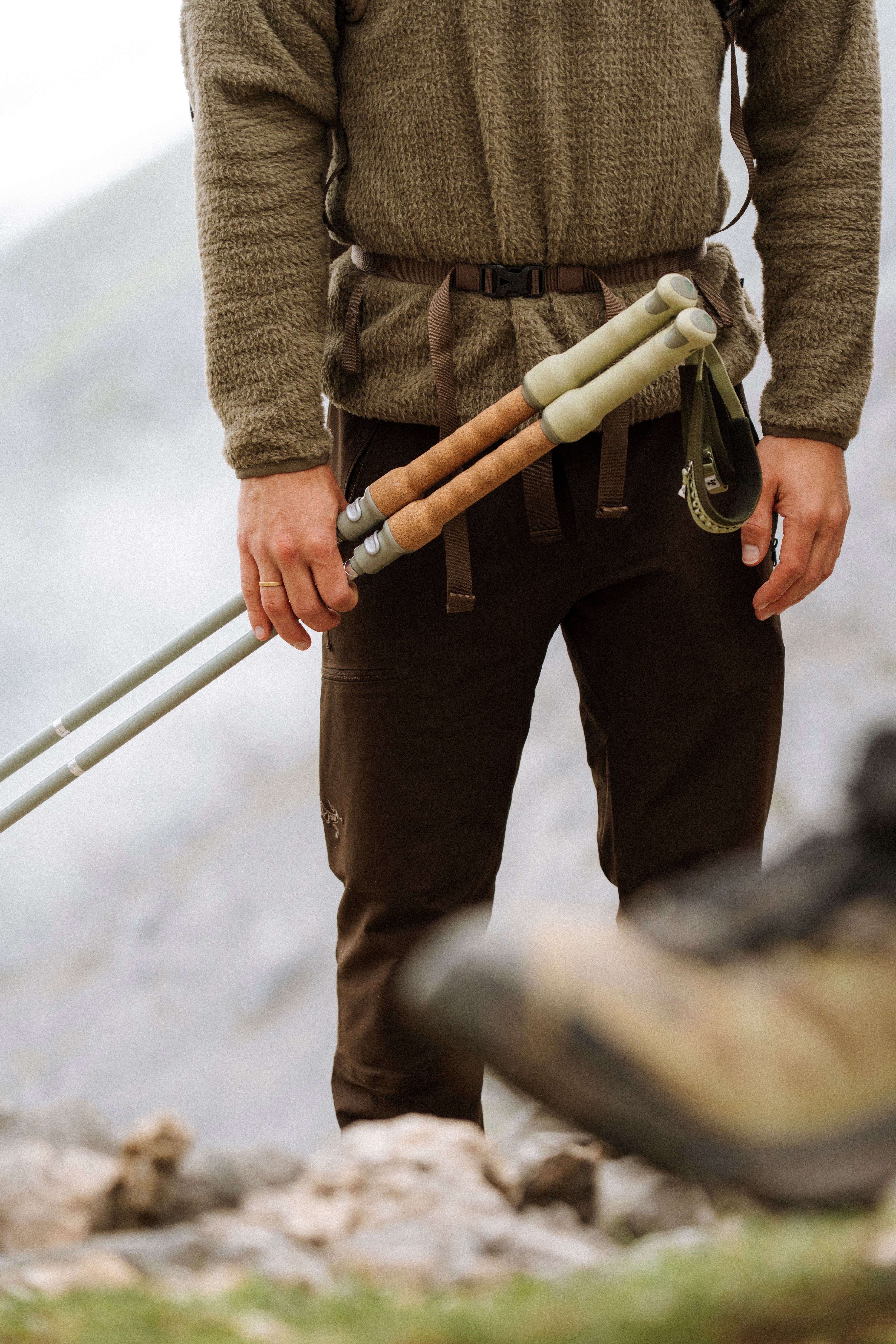An image of trekking poles